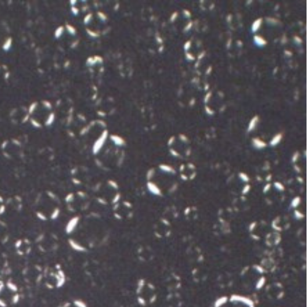 Close-up of Zerafite's Skin Brightening Barrier Cream showing the Maltese Cross Patterns under a cross-polarized microscope