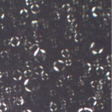 Zerafite Skin Brightening Barrier Cream under a cross-polarized microscope showing Maltese cross patterns